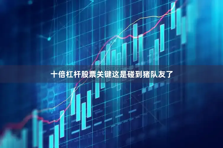 十倍杠杆股票关键这是碰到猪队友了