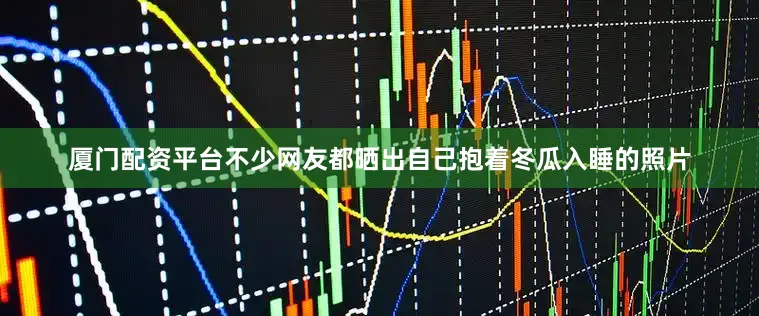 厦门配资平台不少网友都晒出自己抱着冬瓜入睡的照片